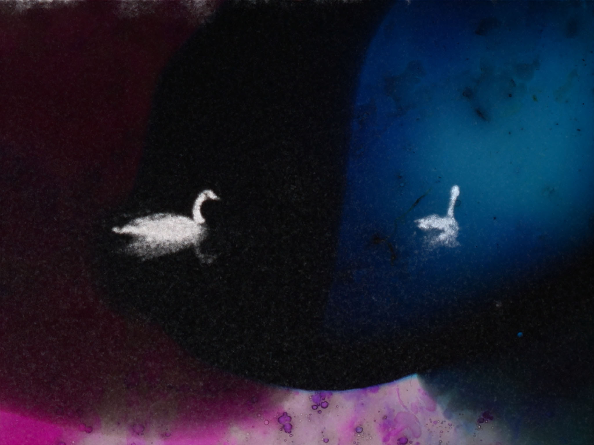 Projection du film Opaline